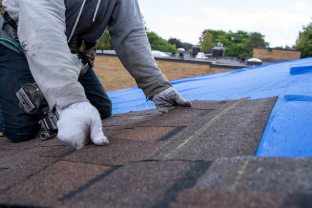 Professional Roofing Contractor in East Prairie, MO